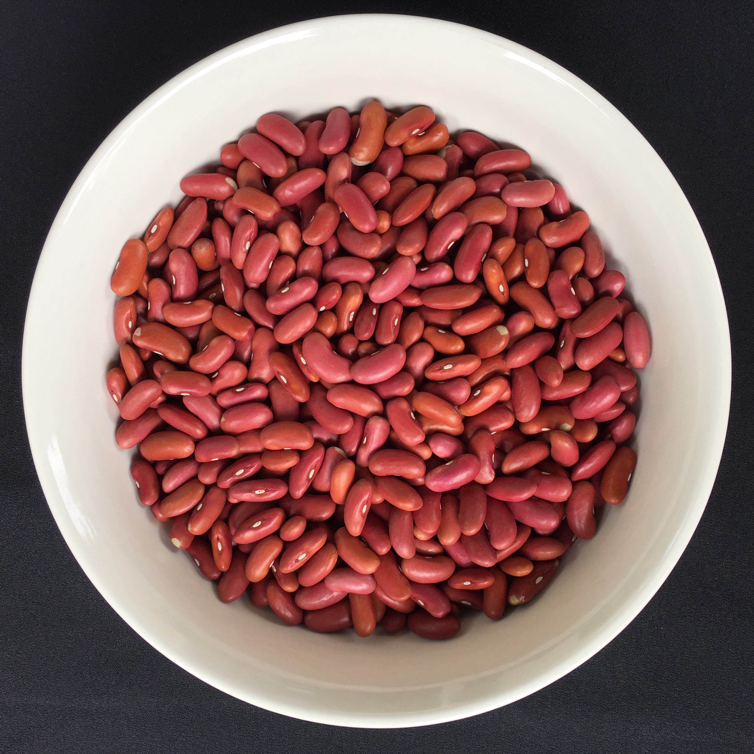 dried beans kidney